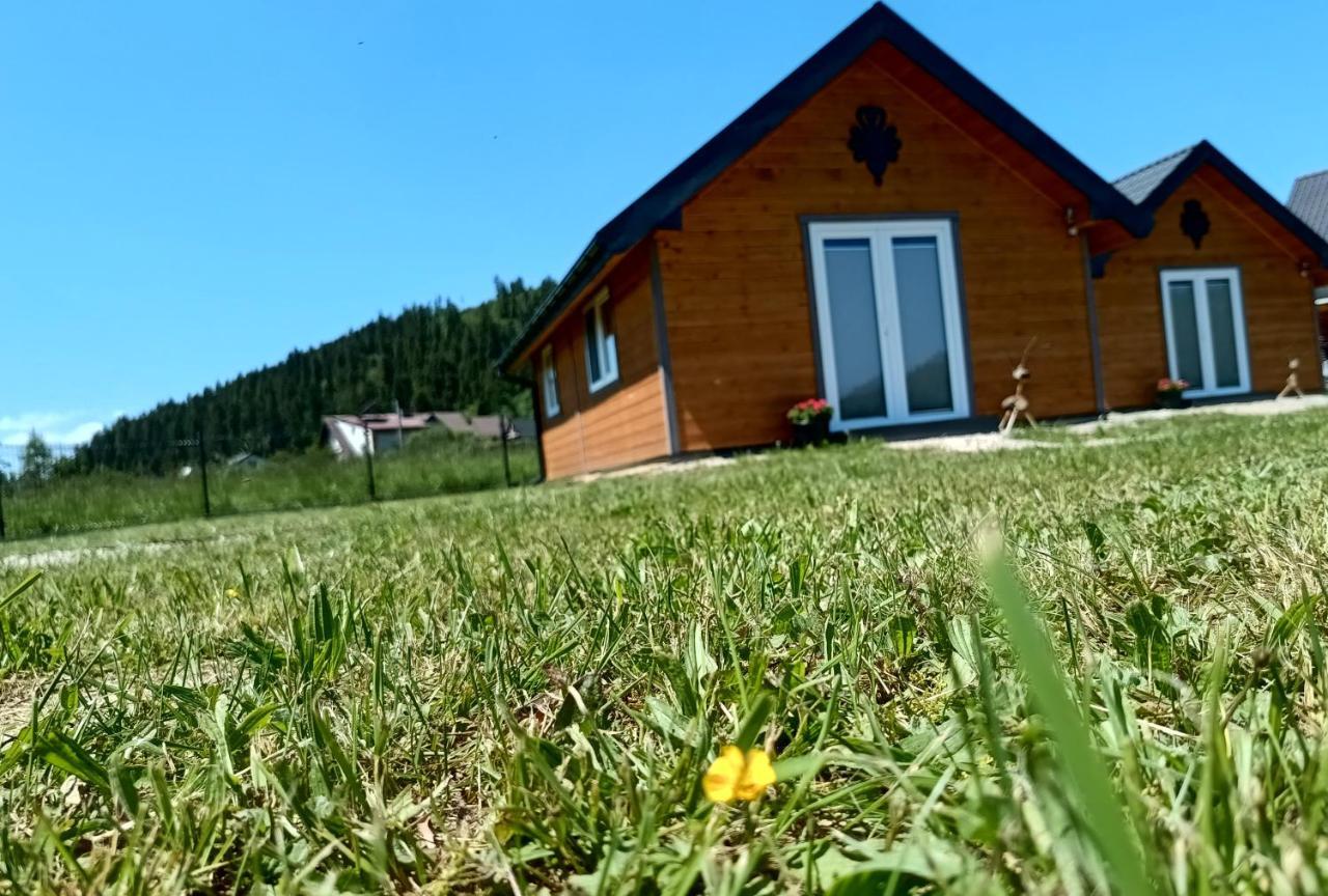 Spiska Dolina Villa Łapsze Niżne Exteriör bild